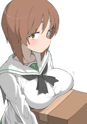 Rule 34 | 1girl, box, breast rest, breasts, brown eyes, brown hair, cardboard box, carried breast rest, carrying, girls und panzer, henyaan (oreizm), highres, large breasts, nishizumi miho, ooarai school uniform, sailor collar, school uniform, white background