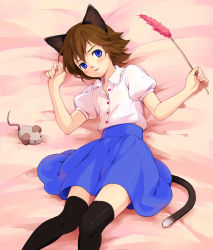 Rule 34 | 1boy, animal ears, bad id, bad pixiv id, blue eyes, brown hair, cat ears, cat tail, crossdressing, face, fideo aldena, highres, inazuma eleven, inazuma eleven (series), male focus, mouse (animal), short hair, solo, tail, thighhighs, trap, yukasummer