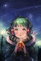 Rule 34 | 1girl, bad id, bad pixiv id, black eyes, blush, can, coat, commentary, dark, drink, eye reflection, green hair, holding, looking up, night, night sky, nightmare-kck, open mouth, original, power lines, reflection, scarf, sky, solo, star (sky), starry sky, tree, utility pole, winter clothes, winter coat