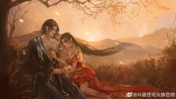 Rule 34 | 1boy, 1girl, absurdres, artist request, bare tree, blood, brown hair, cai lin (doupo cangqiong), doupo cangqiong, dress, embers, grass, hand on another&#039;s chest, highres, long hair, mountain, red dress, sad, second-party source, sitting, towel, tree, xiao yan (doupo cangqiong)