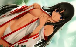 Rule 34 | 00s, 1girl, black hair, blue eyes, breasts, cleavage, female focus, highres, japanese clothes, large breasts, long hair, long sleeves, musha miko tomoe, nature, navel, non-web source, outdoors, queen&#039;s blade, solo, tomoe (queen&#039;s blade), tomoe (queen's blade)