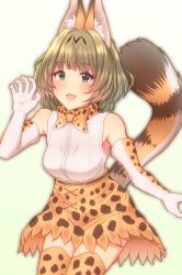 Rule 34 | 10s, 1girl, animal ears, bare shoulders, blue eyes, blush, bow, bowtie, breasts, brown hair, claw pose, commentary request, cosplay, elbow gloves, gloves, green eyes, heterochromia, highres, idolmaster, idolmaster cinderella girls, keffiy, kemono friends, looking at viewer, mole, mole under eye, open mouth, serval (kemono friends), serval (kemono friends) (cosplay), serval print, serval tail, short hair, simple background, skirt, small breasts, smile, solo, tail, takagaki kaede, thighhighs