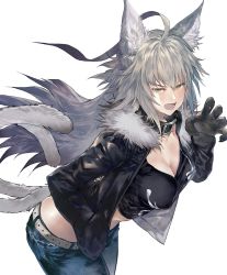 Rule 34 | 1girl, ahoge, animal ears, atalanta (fate), atalanta alter (fate), breasts, butt crack, cat ears, cat tail, character request, claws, cleavage, collar, copyright request, denim, fangs, fate (series), hand in pocket, highres, jacket, jeans, leather, leather jacket, medium breasts, midriff, multiple tails, pants, solo, tail, tank top, tokopi, white background, white hair
