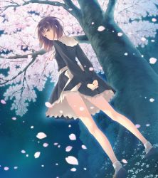 Rule 34 | 1girl, arms behind back, bare legs, black dress, black eyes, brown hair, cherry blossoms, dress, dutch angle, flower, flowers (innocent grey), from behind, game cg, highres, interlocked fingers, kousaka mayuri, long hair, looking back, night, official art, open mouth, orange ribbon, parted lips, petals, ribbon, scan, school uniform, short hair, skirt, socks, solo, standing, sugina miki, tree, white ribbon, white socks, wind, wind lift