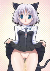 Rule 34 | 00s, 1girl, animal ears, cleft of venus, clothes lift, fujirin, pee, peeing, pussy, sanya v. litvyak, skirt, skirt lift, solo, strike witches, tail, thigh gap, uncensored, world witches series
