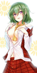 Rule 34 | 1girl, ascot, between breasts, breasts, green hair, kazami yuuka, large breasts, looking at viewer, midriff, nakaichi (ridil), no bra, off shoulder, open clothes, open mouth, open shirt, open vest, purple eyes, shirt, skirt, skirt set, solo, sun, touhou, vest, zeb nakaichi