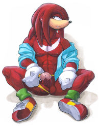 Rule 34 | furry, knuckles the echidna, penis, sonic (series), tagme