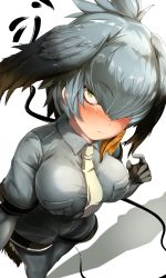 Rule 34 | 10s, 1girl, bird tail, blush, breast pocket, breasts, collared shirt, feathers, foreshortening, from above, gloves, grey hair, grey pantyhose, grey shirt, grey shorts, hair between eyes, hair over one eye, head wings, highres, kemono friends, large breasts, light frown, looking at viewer, necktie, pantyhose, pekoneko, pocket, shadow, shirt, shoebill (kemono friends), short hair, shorts, simple background, solo, standing, tail, white background, white necktie, wings, yellow eyes