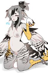 Rule 34 | 1girl, bird legs, bird tail, black feathers, blush, breasts, claws, closed eyes, commentary, cuffs, egg, egg laying, english commentary, eyepatch, feathered wings, feathers, flying sweatdrops, grey feathers, grey hair, grey wings, hair up, harpy, head wings, highres, holding, holding egg, inverted nipples, medical eyepatch, medium breasts, monster girl, navel, nude, open mouth, orange eyes, original, pussy, shackles, short hair with long locks, sidelocks, simple background, solo, tail, topopopokoko, twitter username, uncensored, white background, winged arms, wings