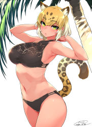 Rule 34 | 1girl, animal ears, arms behind head, blonde hair, cowboy shot, dated, extra ears, happa (cloverppd), highres, jaguar (kemono friends), jaguar ears, jaguar tail, kemono friends, looking at viewer, navel, outdoors, palm tree, signature, solo, spotted hair, swimsuit, tail, tree, white background
