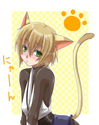 Rule 34 | 1boy, androgynous, animal ears, arc system works, blazblue, blazblue: calamity trigger, blonde hair, blush, cat ears, cat tail, green eyes, highres, kisaragi jin, male focus, paw print, shou (trickster1999), solo, tail, trap, trickster1999