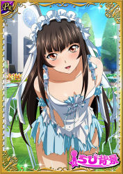 Rule 34 | 00s, 1girl, blush, breasts, brown hair, card (medium), collarbone, curvy, dress, female focus, grass, ikkitousen, long hair, looking at viewer, maid headdress, shiny skin, sky, small breasts, smile, solo, standing, ten&#039;i (ikkitousen), torn clothes