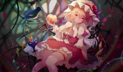 Rule 34 | 1girl, apple, azusa0v0, bird, blonde hair, blurry, blurry background, bow, commentary request, flandre scarlet, food, frilled shirt, frilled shirt collar, frilled skirt, frilled sleeves, frills, fruit, hair between eyes, hat, hat ribbon, highres, holding, holding food, holding fruit, looking at viewer, medium hair, mob cap, multicolored hair, one side up, open mouth, orange eyes, outdoors, puffy short sleeves, puffy sleeves, red bow, red skirt, red vest, ribbon, shirt, short hair, short sleeves, skirt, solo, touhou, vest, white hat, white legwear, white shirt, wrist cuffs