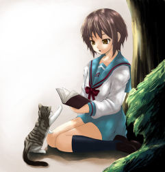 Rule 34 | 00s, 1girl, book, cat, chiko (kanhogo), nagato yuki, school uniform, serafuku, solo, suzumiya haruhi no yuuutsu