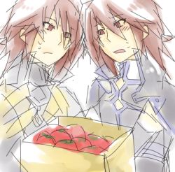 Rule 34 | 00s, 2boys, alternate costume, blush, box, kratos aurion, lowres, multiple boys, sweat, tales of (series), tales of symphonia, tomato