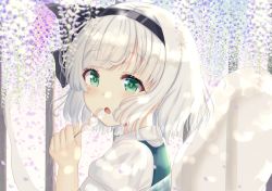 Rule 34 | 1girl, :o, bad id, bad pixiv id, blurry, blush, commentary request, dango, dappled sunlight, day, depth of field, eating, flower, food, green eyes, green vest, hair ribbon, holding, holding food, konpaku youmu, konpaku youmu (ghost), looking at viewer, nibosi, open mouth, outdoors, post, puffy short sleeves, puffy sleeves, ribbon, short hair, short sleeves, silver hair, solo, standing, sunlight, touhou, upper body, vest, wagashi, wisteria
