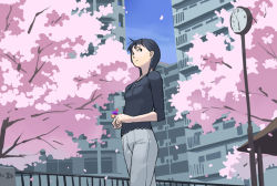 Rule 34 | 1girl, black hair, building, cherry blossoms, city, clock, day, fence, long hair, pants, shirt, sky, solo, takamichi