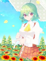 Rule 34 | 1girl, ascot, blouse, blue sky, blush, breasts, closed mouth, collared shirt, commentary, cowboy shot, day, field, flower, flower field, frilled skirt, frills, green hair, juliet sleeves, kari (atsuki 565), kazami yuuka, large breasts, long sleeves, looking at viewer, orange flower, outdoors, parasol, plaid, plaid skirt, plaid vest, puffy sleeves, red eyes, red skirt, red vest, shirt, short hair, skirt, skirt set, sky, smile, solo, touhou, tree, umbrella, vest, wavy hair, white shirt, white umbrella, yellow ascot