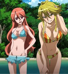 Rule 34 | 10s, 2girls, akame ga kill!, bikini, blonde hair, breasts, brown hair, candy, chelsea (akame ga kill!), cleavage, food, highres, large breasts, leone (akame ga kill!), lollipop, long hair, looking at viewer, multiple girls, open mouth, red eyes, smile, standing, stitched, swimsuit, thighs, third-party edit, yellow eyes