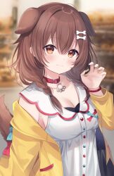 Rule 34 | 1girl, absurdres, animal ears, bone hair ornament, braid, breasts, brown eyes, brown hair, chocola vt, claw pose, cleavage, closed mouth, collar, dog ears, dog girl, dog tail, dress, hair ornament, highres, hololive, inugami korone, inugami korone (1st costume), jacket, looking at viewer, medium breasts, red collar, smile, tail, twin braids, upper body, virtual youtuber, white dress, wristband, yellow jacket
