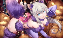 Rule 34 | 1girl, animal ears, bare shoulders, black bow, blue eyes, bow, braid, breasts, candle, cleavage, cosplay, elbow gloves, fate/grand order, fate (series), french braid, fur-trimmed gloves, fur-trimmed legwear, fur collar, fur trim, gabiran, gloves, grey hair, hair bow, halloween, highres, jack-o&#039;-lantern, lace, lace-trimmed legwear, lace trim, large breasts, long hair, looking at viewer, mash kyrielight, mash kyrielight (dangerous beast), mash kyrielight (dangerous beast) (cosplay), morgan le fay (fate), o-ring, open mouth, pink bow, ponytail, pumpkin, purple gloves, purple thighhighs, revealing clothes, sidelocks, solo, tail, thighhighs, thighs, very long hair, wolf ears, wolf tail