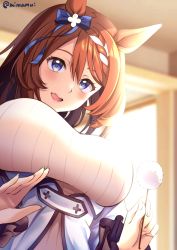 Rule 34 | 1girl, animal ears, blue bow, blue eyes, blurry, blurry background, blush, bow, braid, braided bangs, breasts, brown hair, commentary request, ear bow, ear cleaning, hair between eyes, highres, holding, horse ears, horse girl, large breasts, long hair, long sleeves, looking at viewer, mimamui, mimikaki, parted lips, solo, super creek (umamusume), twitter username, umamusume, upper body