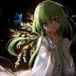 Rule 34 | absurdres, androgynous, branch, brown eyes, bug, butterfly, enkidu (fate), fate/strange fake, fate (series), gender request, green hair, hair between eyes, hand on own cheek, hand on own face, hand up, highres, insect, japanese clothes, leaf, long hair, male focus, solo, swav, tosk (swav-coco), upper body, wide sleeves