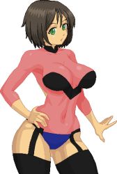 Rule 34 | 1girl, aliasing, black hair, black thighhighs, bodysuit, breasts, brown hair, cosplay, covered navel, cowboy shot, garter straps, green eyes, hand on own hip, honchan, large breasts, leotard, lowres, nchallenge, nchans, no bra, see-through, short hair, simple background, solo, standing, thighhighs, third-party edit, warner, white background