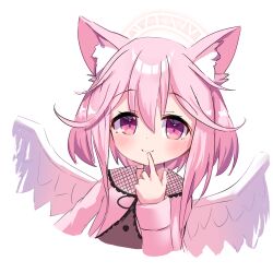 Rule 34 | 1girl, animal ear fluff, animal ears, blush, brown dress, closed mouth, copyright request, cropped arms, cropped torso, dress, feathered wings, finger to mouth, halo, jacket, long hair, long sleeves, looking at viewer, pink hair, pink jacket, purple eyes, siera (sieracitrus), simple background, sleeves past wrists, smile, solo, upper body, white background, white wings, wings