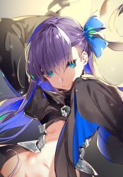 Rule 34 | 10s, 1girl, bad id, bad pixiv id, blue eyes, fate/extra, fate/extra ccc, fate (series), hair ribbon, highres, long hair, long sleeves, meltryllis (fate), midriff, purple hair, ribbon, sleeves past wrists, smile, solo, yuran