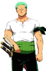 Rule 34 | 1boy, :/, absurdres, bara, blush, earrings, flustered, frown, green hair, highres, jewelry, looking at viewer, male focus, muscular, muscular male, one piece, pants, pectorals, pout, roronoa zoro, scar, scar across eye, shirt, short hair, single earring, solo, standing, udon oneday