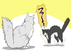 Rule 34 | animal, cat, comic, commentary, munmu-san, original, simple background, speech bubble, unsinkable sam
