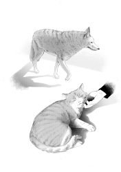 Rule 34 | animal focus, cat, dog, greyscale, headpat, highres, monochrome, original, out of frame, shadow, tokki