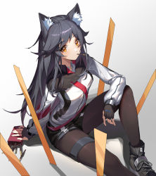 Rule 34 | 1girl, absurdres, animal ear fluff, animal ears, arknights, black footwear, black gloves, black hair, black pantyhose, black shorts, commentary request, fingerless gloves, food, food in mouth, gloves, gradient background, highres, jacket, knee up, long hair, long sleeves, looking at viewer, mo ying yu, mouth hold, pantyhose, pocky, shoes, short shorts, shorts, sitting, solo, texas (arknights), very long hair, white jacket, wolf ears, yellow eyes