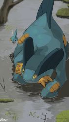 Rule 34 | all fours, black eyes, blue skin, closed mouth, colored skin, commentary request, creatures (company), game freak, gen 3 pokemon, highres, max (mhn max), mudkip, nintendo, no humans, outdoors, pokemon, pokemon (creature), signature, swampert, swimming, water, wetland, yellow eyes