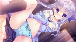 Rule 34 | 1girl, bent over, black socks, blue bra, blue panties, blush, bow, bra, bug, butterfly, closed mouth, collarbone, covering privates, covering breasts, female focus, game cg, grey hair, hair ornament, hairclip, hakoniwa logic, insect, leg up, long hair, long sleeves, looking at viewer, maezono kirika, midriff, navel, panties, purple eyes, sitting, socks, solo, spread legs, underwear, yukie (peach candy)