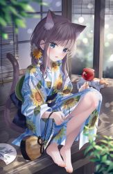 Rule 34 | 1girl, absurdres, animal ear fluff, animal ears, barefoot, blue eyes, blurry, blurry foreground, blush, candy apple, cat, cat ears, cat girl, cat tail, extra ears, floral print, flower, food, full body, hair flower, hair ornament, hand fan, highres, holding, holding food, japanese clothes, jimmy madomagi, kimono, knees up, long hair, long sleeves, looking at viewer, nail polish, obi, orange nails, original, paper fan, parted lips, plant, print kimono, sash, sitting, smile, solo, striped clothes, striped kimono, sunflower print, tail, tail raised, toenail polish, toenails, uchiwa, veranda, vertical-striped clothes, vertical-striped kimono, white flower, wide sleeves, wooden floor, yellow flower, yukata