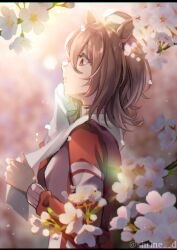 Rule 34 | 1girl, agnes tachyon (umamusume), ahoge, animal ears, blurry, blurry background, branch, breasts, brown hair, cherry blossoms, from side, highres, holding, holding towel, horse ears, horse girl, jacket, letterboxed, long sleeves, medium hair, parted lips, petals, red jacket, shirin (tsukimiyagura), sideways mouth, small breasts, solo, sweat, towel, towel around neck, tracen training uniform, track jacket, twitter username, umamusume, watermark, wiping sweat