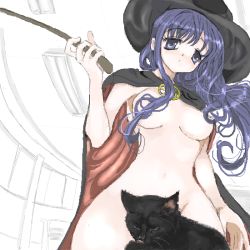 Rule 34 | 1girl, blue eyes, blue hair, cape, cat, censored, classroom, convenient censoring, fisheye, hair censor, hair over breasts, hat, kurusugawa serika, long hair, naked cape, nude, oekaki, school, solo, to heart, to heart (series), toshi (little-fluffy-cloud), witch hat, yonic symbol