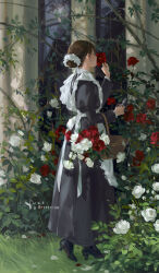 Rule 34 | 1girl, apron, artist name, basket, black dress, black footwear, brown hair, bush, carrying, closed eyes, commentary, day, dress, flower, frilled apron, frills, from behind, full body, garden, grass, hair bun, hand up, highres, holding, holding flower, holding scissors, juliet sleeves, long sleeves, maid, maid apron, original, outdoors, puffy sleeves, red flower, red rose, rose, rose bush, rrr (reason), scenery, scissors, shoes, short hair, single hair bun, smelling flower, solo, standing, thorns, white apron, white flower, white rose, window