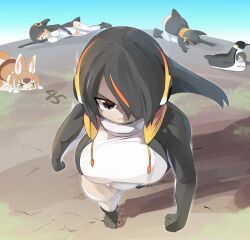 Rule 34 | 5girls, animal ears, black footwear, black hair, black jacket, boots, breasts, brown eyes, brown hair, brown shirt, clenched hands, closed mouth, commentary request, dark skin, dhole (kemono friends), dog ears, dog girl, dog tail, emperor penguin (kemono friends), frown, full body, hair between eyes, hair over one eye, headphones, jacket, kemono friends, large breasts, lets0020, long bangs, looking at viewer, multicolored hair, multiple girls, multiple persona, numbered, one-piece swimsuit, open clothes, open jacket, orange hair, shirt, short hair, slit pupils, solo focus, streaked hair, swimsuit, tail, v-shaped eyebrows, walking, white one-piece swimsuit