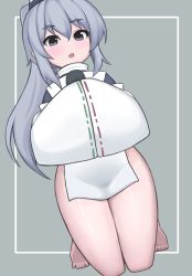 Rule 34 | 1girl, :o, bottomless, full body, grey background, grey eyes, grey hair, hands in opposite sleeves, hat, highres, japanese clothes, kariginu, long hair, looking at viewer, mononobe no futo, nuclear cake, open mouth, ponytail, ribbon-trimmed sleeves, ribbon trim, simple background, solo, tate eboshi, touhou, wide sleeves