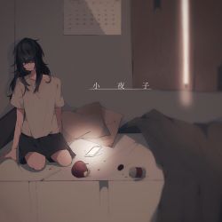 Rule 34 | 1girl, akanasu0501, apple, arm support, bad id, bad pixiv id, bed, bed sheet, bitten apple, black hair, calendar (object), cellphone, character request, closed eyes, collarbone, commentary request, dark, facing away, food, food bite, fruit, indoors, light smile, long hair, medicine bottle, messy hair, on bed, phone, pillow, red apple, sayoko (song), seiza, self-harm, self harm, shirt, shorts, sitting, solo, song name, t-shirt, tears, vocaloid, window