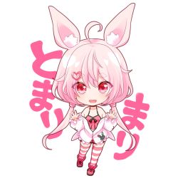Rule 34 | 1girl, ahoge, animal ear fluff, animal ears, arms up, boots, camisole, chibi, choker, full body, hair ornament, hairclip, jacket, long hair, low twintails, nyokkiiiiin, off shoulder, open mouth, pink eyes, pink hair, rabbit ears, red camisole, red footwear, red shorts, short shorts, shorts, smile, solo, striped clothes, striped thighhighs, thighhighs, tomari mari, tomari mari channel, twintails, virtual youtuber, waving, white jacket