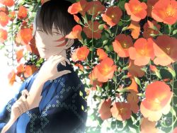 Rule 34 | 1boy, blue kimono, brown eyes, brown hair, closed mouth, commentary request, expressionless, facial mark, flower, hair between eyes, hanaen, highres, japanese clothes, kimono, looking at viewer, male focus, orange flower, original, solo, trumpet creeper, upper body