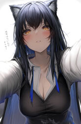 Rule 34 | 1girl, absurdres, animal ears, arknights, black hair, black vest, blue necktie, blush, breasts, cleavage, commentary request, ear piercing, highres, large breasts, long hair, looking at viewer, medium breasts, necktie, orange eyes, parted lips, piercing, reaching, reaching towards viewer, shirt, simple background, solo, sweat, tab head, texas (arknights), texas the omertosa (arknights), translated, undone necktie, upper body, vest, white background, white shirt, wolf ears