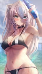 Rule 34 | 1girl, absurdres, amane sora, animal ears, armpits, bikini, black bikini, blue eyes, blue sky, blush, border, breasts, brown eyes, choker, cleavage, commentary request, cowboy shot, day, halterneck, hand on own hip, hand up, highres, holding, holding water gun, hololive, large breasts, lion ears, long hair, looking at viewer, navel, ocean, parted lips, rainbow, revision, shadow, shishiro botan, sidelocks, sky, solo, string bikini, striped bikini, striped clothes, sunlight, swimsuit, two side up, virtual youtuber, water, water gun, wet, wet clothes, wet swimsuit, white hair