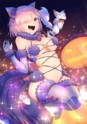 Rule 34 | 1girl, :d, bare shoulders, blush, breasts, cleavage, commentary request, creature, detached collar, fang, fate/grand order, fate (series), fou (fate), fur-trimmed gloves, fur-trimmed legwear, fur collar, fur trim, gloves, hair over one eye, highres, jack-o&#039;-lantern, jumping, lace, lace-trimmed legwear, lace trim, light particles, looking at viewer, mash kyrielight, mash kyrielight (dangerous beast), medium breasts, midair, nakta, navel, official alternate costume, open mouth, pumpkin, purple eyes, purple gloves, purple hair, purple thighhighs, short hair, signature, smile, sparkle, stomach, sweat, thighhighs