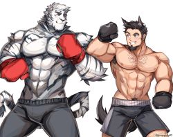 Rule 34 | 2boys, arknights, bara, dog boy, furry, furry male, graysheartart, highres, large pectorals, male focus, mountain (arknights), multiple boys, pectorals, scar, scar across eye, scar on face, smile, tiger boy, topless male, white background, white fur