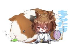 Rule 34 | 1girl, agnes tachyon (umamusume), ahoge, alternate size, animal ears, brown eyes, brown hair, brown pantyhose, character name, chibi, commentary, cup, earrings, eating, guinea pig, hair between eyes, holding, holding cup, horse ears, horse girl, horse tail, huge ahoge, jewelry, lab coat, lettuce, medium hair, messy hair, mini person, minigirl, open mouth, pantyhose, single earring, sitting, sleeves past fingers, sleeves past wrists, speech bubble, sweater, tail, tea, teacup, test tube, touko 56, translated, umamusume, white footwear, yellow sweater